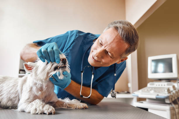 Best Emergency Dental Surgery in Vauxhall, NJ